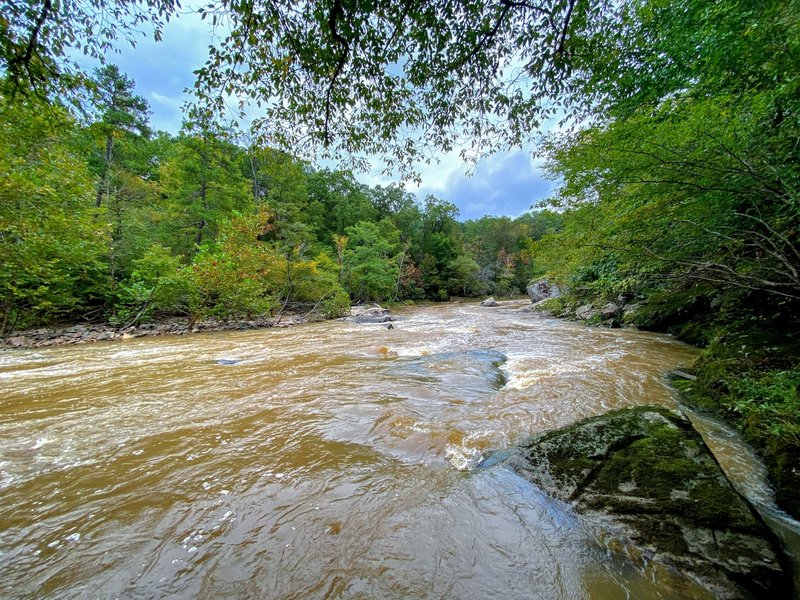 High water day on the Flat River