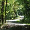 The Canadice Lake Haul Road