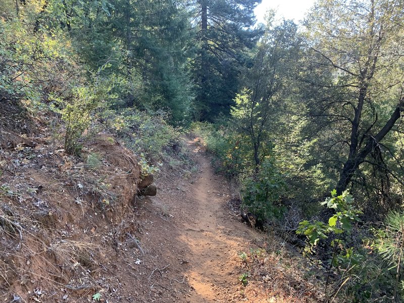 Trail from the trailhead at Packers Bay Road