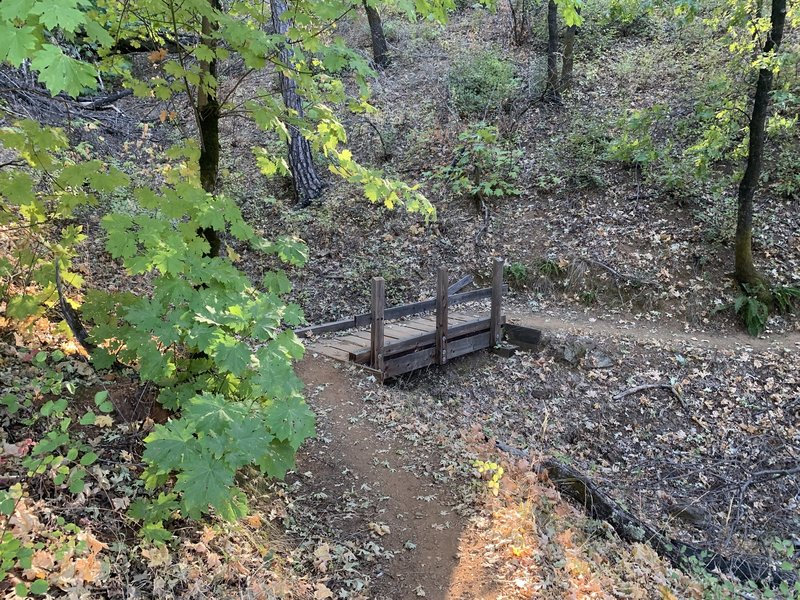 Bridge on the trail