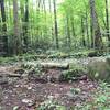 Old logging equipment, or some sort of historical junk (location approximate).