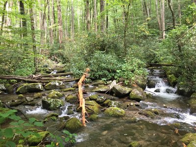 The stream and the trail are often one (location approximate).