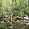 The stream and the trail are often one (location approximate).