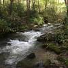 More picturesque rapids, if you're into that sort of thing (location approximate).