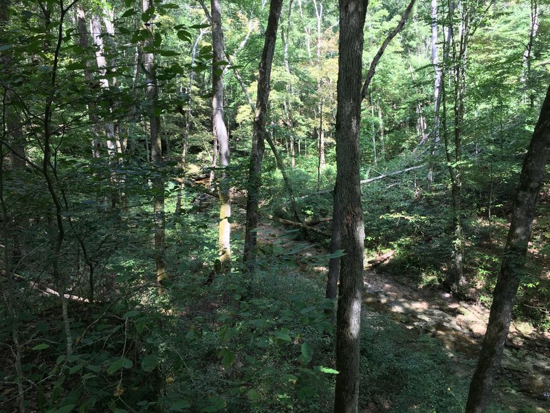 Dry Prong Buffalo Creek near Raymer Hollow campsite