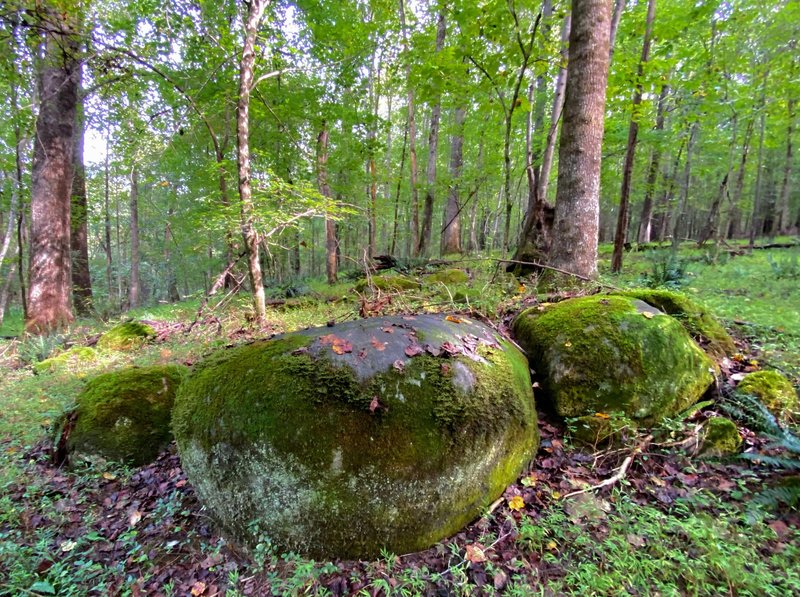 Beautifully rounded boulders along the trail.