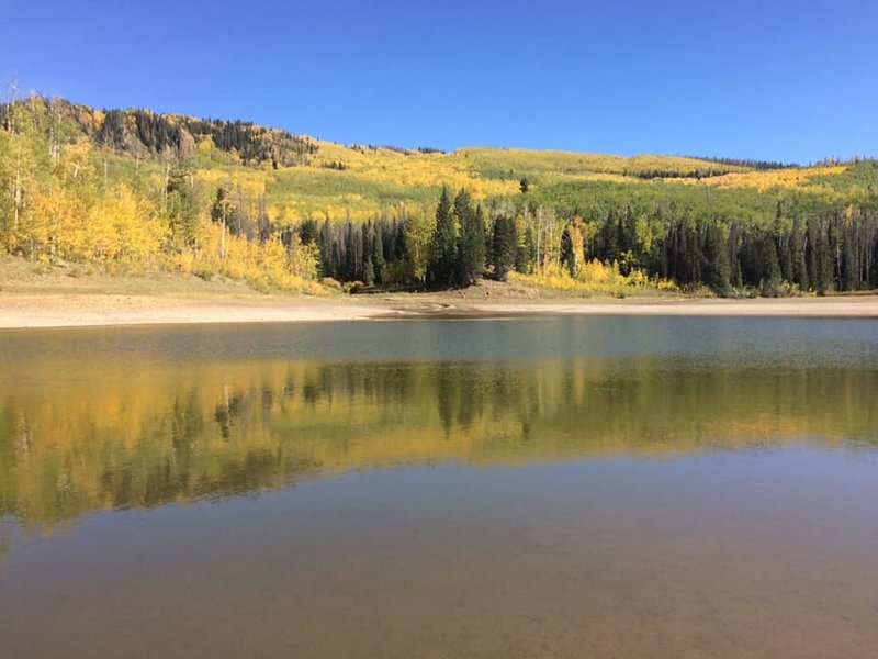 Even with the lake really low, Buckles in the fall is beautiful.