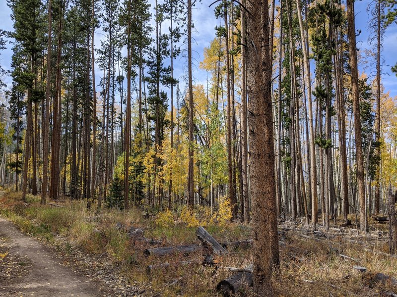 The trails in the Rainbow Lake area are an easy spot to see fall color, and the crowds disappear once you get past the lake.