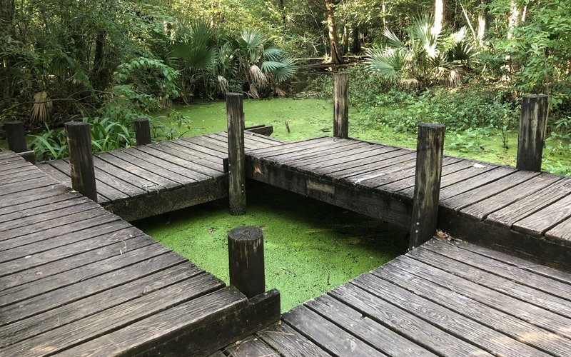 Pond observation platform at the Edith L. Moore Nature Sanctuary.