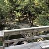 Bridge over Rummel Creek on the Mary Cravens Trail.