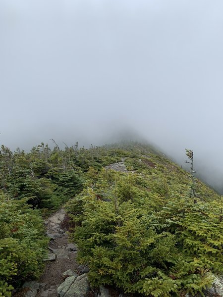 From the ridge looking to the peak in the clouds.