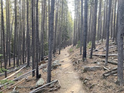 After the steep climb and near the start of the descent.