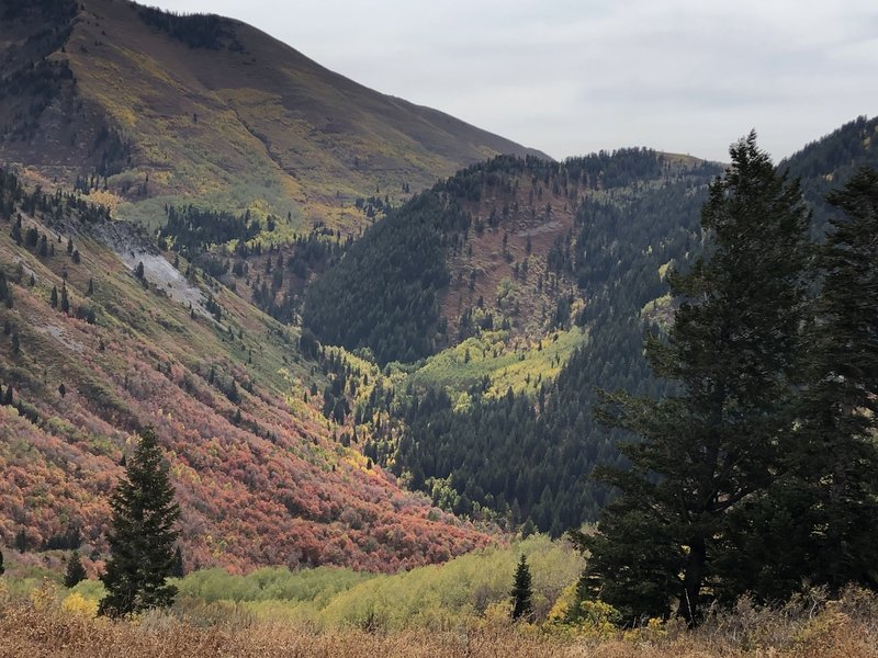 View from the top of Slide Canyon into Slate