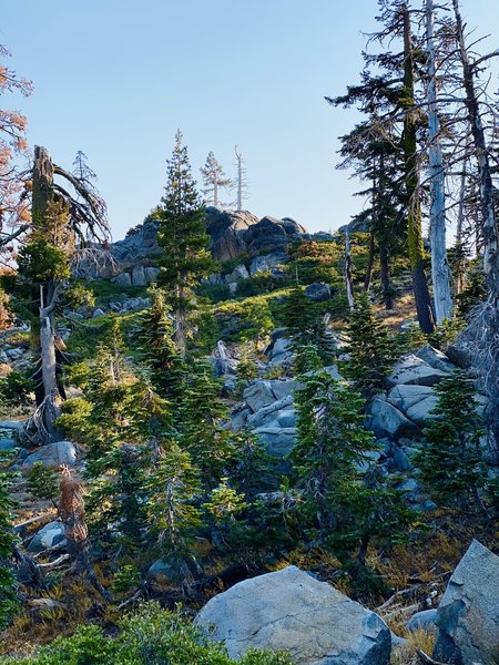 Sun begins to peek over the peak climbing to Donner.