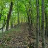 Early fall on the trail.