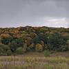 A rainy day in early fall.