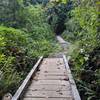 Boardwalk and bridge on the Ridge Trail.