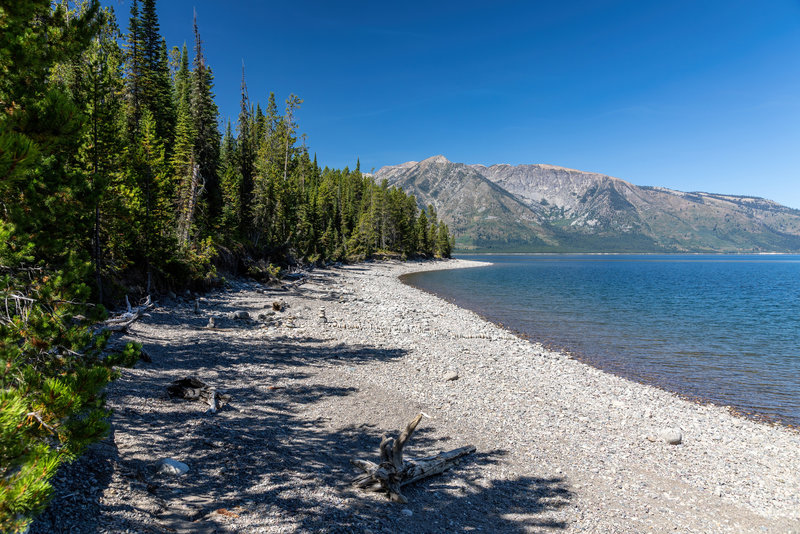 Jackson Lake shore line.