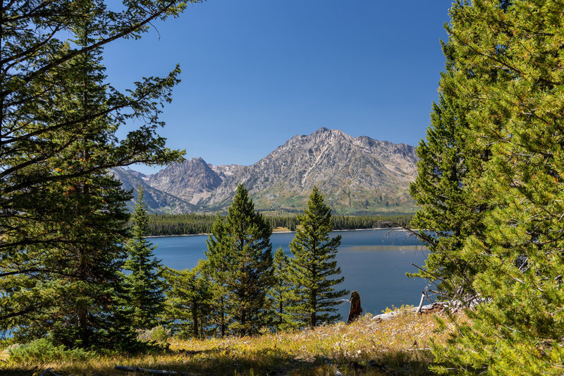 Jackson Lake from Hermitage Point.