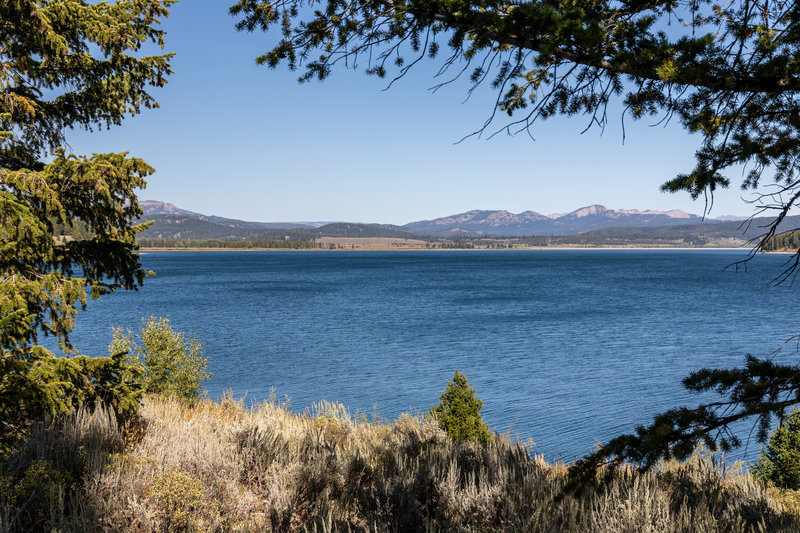 Jackson Lake from Hermitage Point.