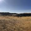 Surprising beautiful basalt and desert grassland.