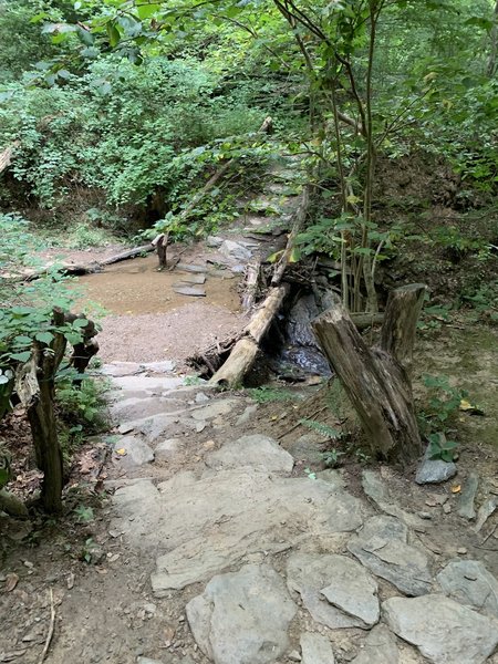 Uneven part of the trail, rocks step.