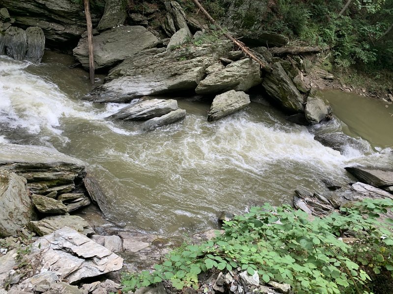 Creek you'll see along the trail.