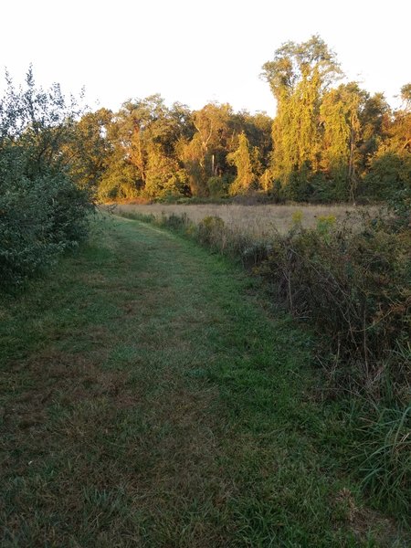 View from along fields.