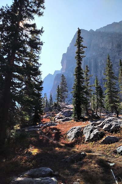 The cliffs are the base of New York Mountain from the New York Lake Trail.