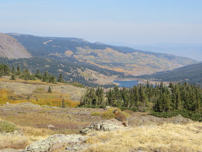 Stillwater Reservoir from the Bear River Trail.