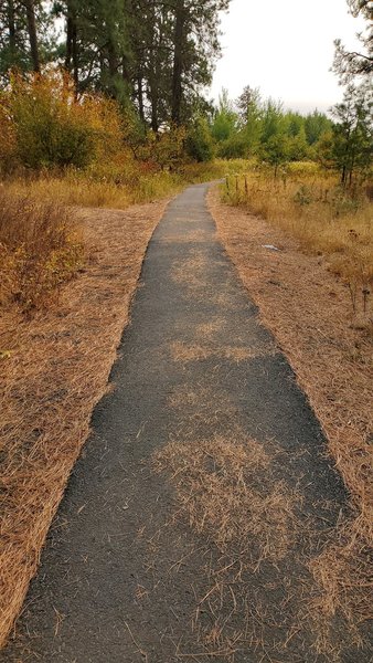 The trail is flat and paved with trees on the left and lake on the right.