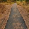 The trail is flat and paved with trees on the left and lake on the right.