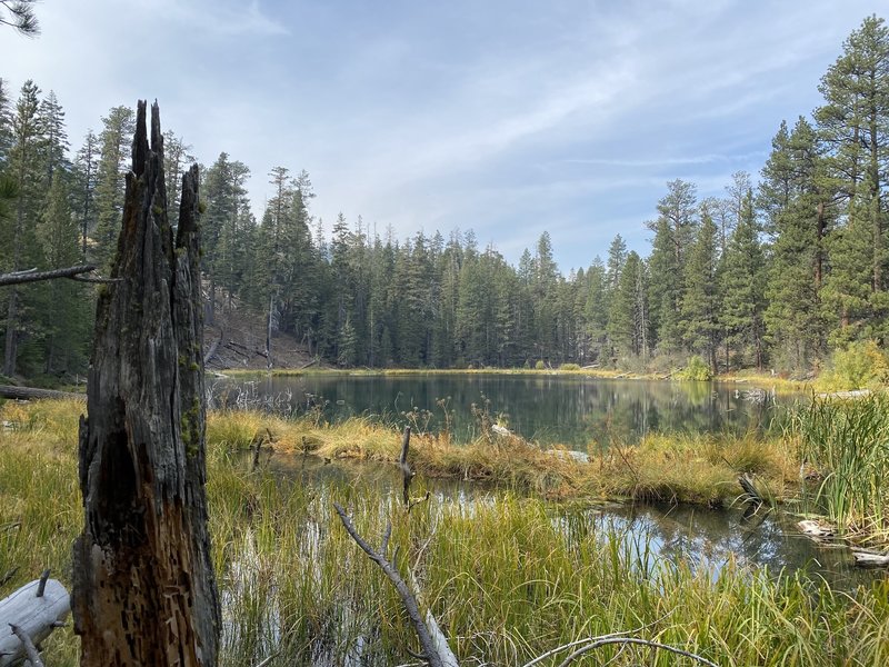 Adorable little lake with rainbow trout.