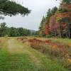 After passing through open Observatory fields, the Nature Trail follows the side of dense woods populated with both broad-leaved trees and conifers. Beautiful in autumn!