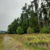 The Nature Trail leads visitors past towering conifers and straight to the Green Bank Telescope.