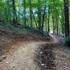 The trail curving up the hill.