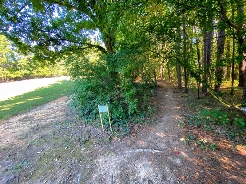 Trail entering the forest from the field.