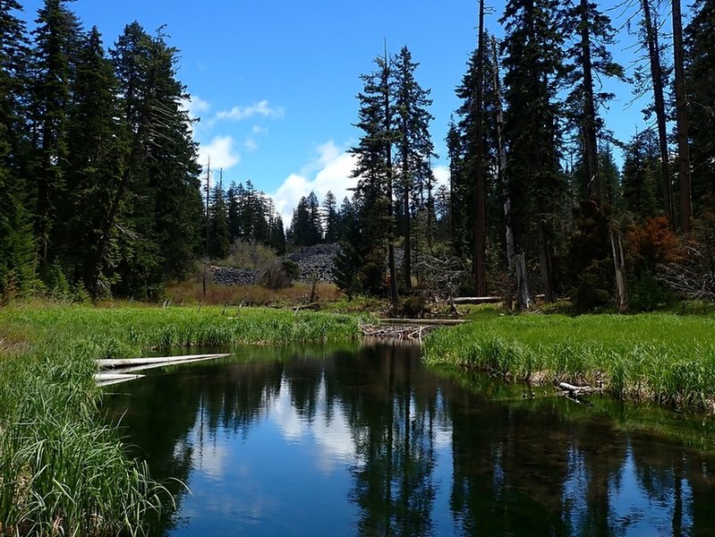 The North Fork of Little Butte Creek.