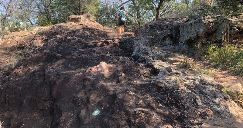 The Valley Spring Creek Trail is marked by green and white paint blazes.