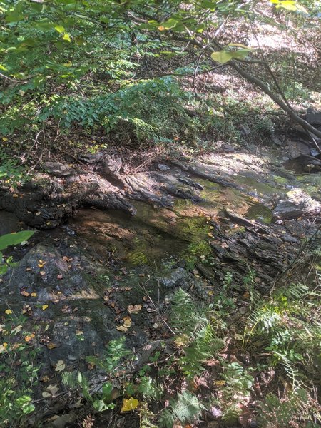 Very near the Lewis Road Trailhead. This photo doesn't express the beauty and peacefulness of the babbling creek that is in the photo. Must be seen to be appreciated.