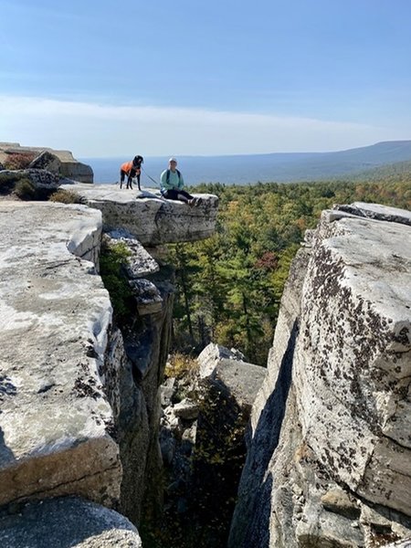 On the way to Gertrude's nose.