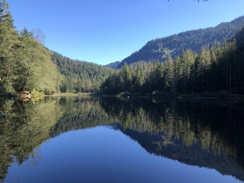 Looking east along Barclay Lake.