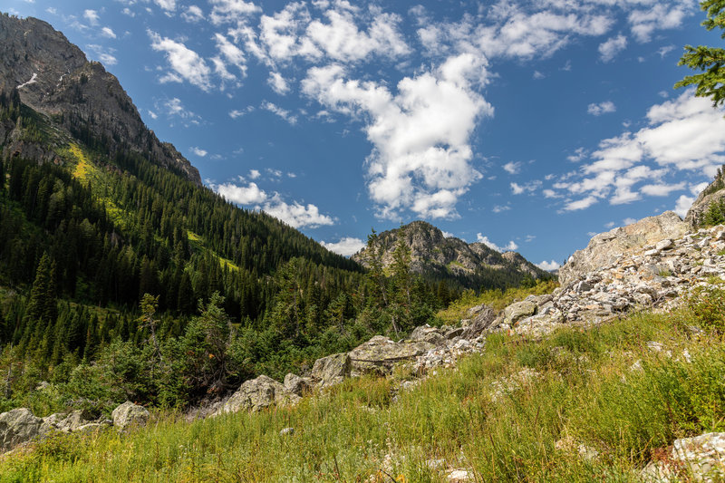 A look up Death Canyon