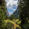 A peaceful view along the creek through Death Canyon.