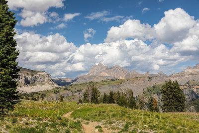 Grand Teton from the Death Canyon Shelf