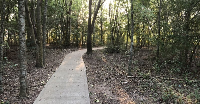 The trail in McClendon Park Nature Preserve.