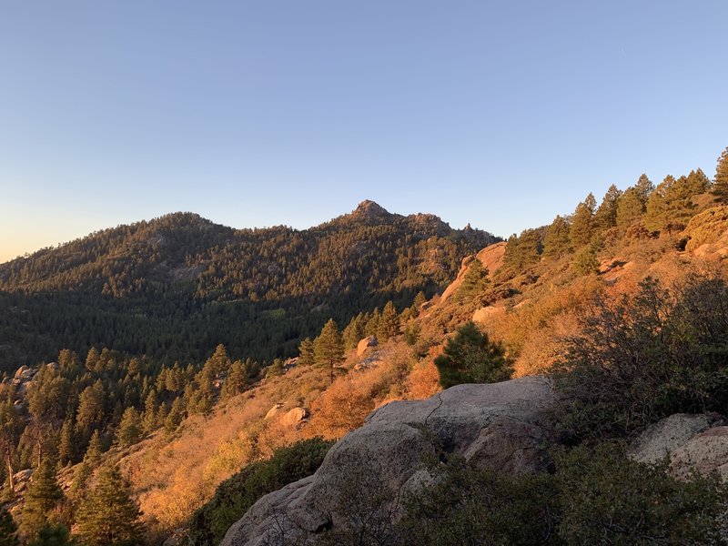 Hualapai Peak at sunrise.