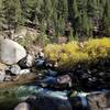 Fall colors South Platte River.