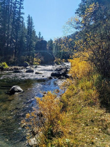 Willows sporting fall colors along South Fork of South Platte River.