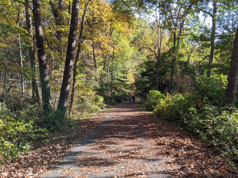 Quinnipiac River Gorge Trail in early fall.